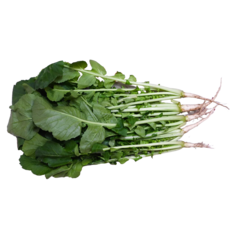 애초야 열무 산지직송 향긋한 제철 신선한채소 국내산 1kg 2kg, (국내산)열무1kg