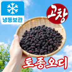 더맛곳간 국산 고창 냉동 오디 생과급냉 햇오디 토종오디 뽕나무 열매, 1개, 2kg 특품