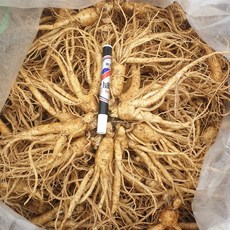 금산인삼 5년근 6년근 난발삼 750g 15-18뿌리 삼계탕용 튀김용 믹서용 파삼, 세척500g, 1개