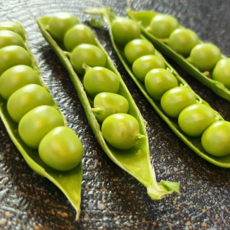 2026년 햇 완두콩 국산 껍질 완두콩, 1개, 2kg