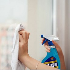 집 거실 유리창 세정제 잘닦이는 유리 세정제 분사형, 1개
