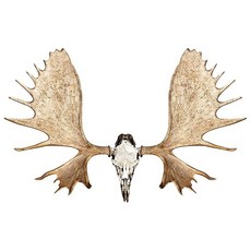 Mossy Oak Graphics 동물 데칼 쉬운 설치 페이드 없음 캐스트 비닐 탠 무스 13021-S-MS 116727 3584560942