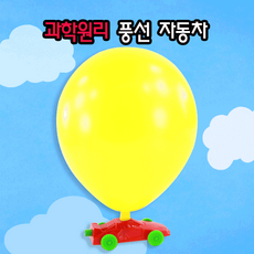 2개입 과학원리 풍선 자동차, 단일 수량