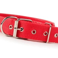 개목걸이 레드 비숑 야외 펜던트 sen*6853tW