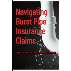 (英文圖書)Navigating Burst Pipe Insurance Claims 平裝版, Independently Published, 英文