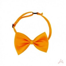 애견 나비넥타이 애견, 본상품