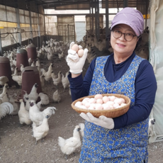 난각번호 1번 자연방사 백봉오골계 유정란 60알, 10구, 6개