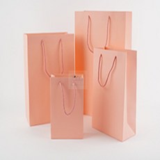 정스토어 세로형 핑크 쇼핑백 소형쇼핑백, 02) 핑크 20x28cm