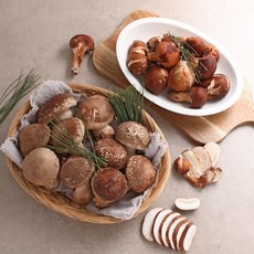 [더리얼파머스] 무농약 국내산 송화고 참송이 버섯, 1개, 참송이 하 1kg