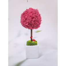 공기정화식물 스칸디아모스 토피어리 만들기 diy 키트 단체수업 원예수업 어린이 수업재료, 사용안함, 씨클라멘