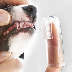 강아지 손가락칫솔 입냄새제거 치석제거 미니칫솔 2P (특가)_ 20273532EA