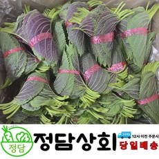 [ 정담상회 ] 국내산 깻잎 쌈야채 찹찹이깻잎 쌈채소 1.5kg(50속) 내외, 1.5kg, 1박스