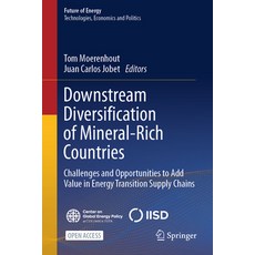 (영문도서)Downstream Diversification of Mineral-Rich Countries: Challenges and Opportuniti... Hardcover, Springer, English, 9783032061386