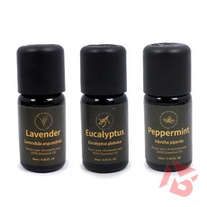 신화브로 10ml 에센셜 오일 숙면, 유칼립투스