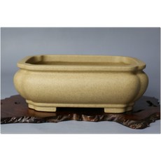 小樹安每 中國宜興 白泥木瓜鉢(名家:唯珍) 19cm, 1個