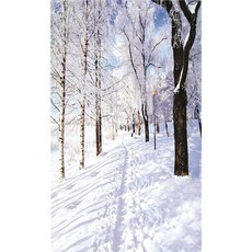 스튜디오배경지 유튜브 설산 설경 촬영 프레임, 2x1.5m, 1개, 화이트 B