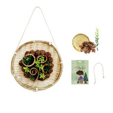 토단 채반 계피 벽걸이 만들기 5인세트 소품 장식