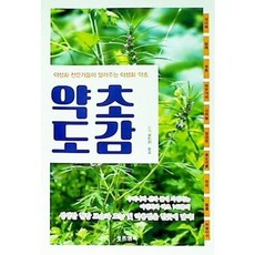 [중고] 약초 도감: 야생화 전문가들이 알려주는 야생화 약초 | 정연옥 김용문 정재한 | 푸른행복 | 2020년