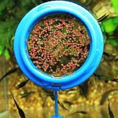 수족관 먹이공급 부유식 급이 용기 물고기 사료 투입 그릇 어항 사육 용품 수조, 1개, 상세페이지 참조