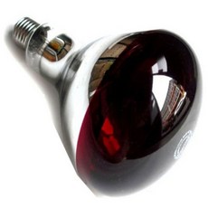 보온갓등 양계 양돈 축사 보온등 열전등 가축보온, 눈부심방지고급전구, 1개