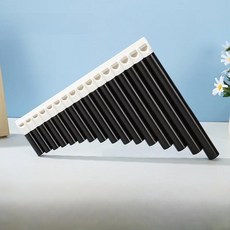 웬셩 학생용 플루트 관 교육용 스케일 입문용 악기 중국, 1개, 8. 16개입 검정색 + 부속품, 기본