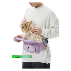 반려동물 힙색 허리 접이식 의자 힙시트 외출 산책 여행 야외활동 강아지 고양이, 4. 민트
