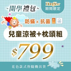 HongYew 兒童涼被枕頭組