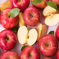 안동사과 선물세트 5kg 프리미엄 중과 15~17과 고당도, 1박스