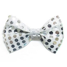 어린이 나비 넥타이 화이트 소