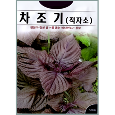 KS종묘 차조기 적자소 씨앗 500립 소엽 일반종 ks