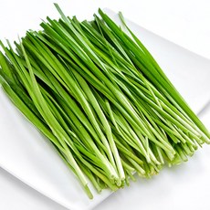 국내산 경남 남해 손질 부추 정구지, 1박스, 2kg