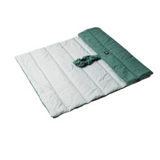 寵物野餐墊 寵物外出露營睡墊 貓窩狗窩 防潑水折疊墊 車載墊 不粘毛 輕便, 雙面露營墊-綠色/淺綠, 1個