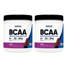 BCAA 파우더 30회분 포도맛 2병, 290g, 2개