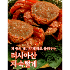 러시아 털게 (자숙/수율 80%), 1개, 1kg