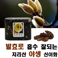 권대장티 지리산야생 목련꽃차 수제덖음 신이화차, 10g, 1개, 1개입