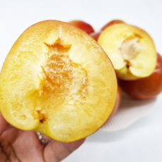 [가을에먹는자두] 추희자두 김천자두 입맛도는 가을자두, 1개, 2kg (중소과)