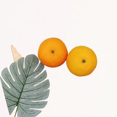 잎사귀 몬스테라 나뭇잎 인조 플라스틱 조화 세트, 1개