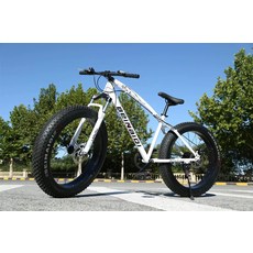 광폭타이어 팻자전거 바퀴큰 경량 타이어 펫자전거, 24inch, 7단, 펄 26인치