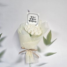 펄라이크 성묘 납골당 추모 국화조화 꽃다발 납골당꾸미기, 50개, 흰색
