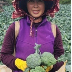 제주울엄마 직접 농사지은 브로콜리, 1개, 2kg
