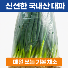 국내산 대파 손질대파, 1개, 5kg