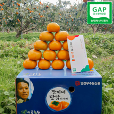 시골농원 45년 단감 세계농업인기술상, 1박스, 10kg, 45~60개 가정용 흠과