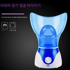 픽바이 얼굴 스팀기 스팀 피부탄력 케어 페이스 수분보충 스티머, B. 파랑 50ml