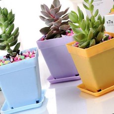 소형 사각 화분받침 식물 물받이 실내 플랜트 바닥보호 원목 마루용, 1개, 상세페이지 참조