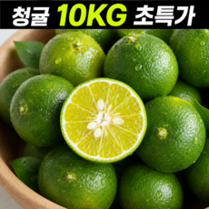 [타업체1위] 새콤달콤 가정용 제주 청귤, 1박스, 2kg