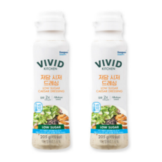 비비드키친 저당 시저드레싱, 205g, 2개