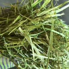寵物牧草 提摩西草與紫花苜蓿草, 1個
