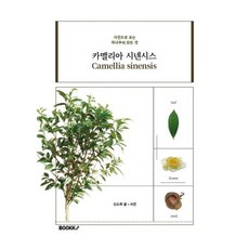 카멜리아 시넨시스, BOOKK(부크크)