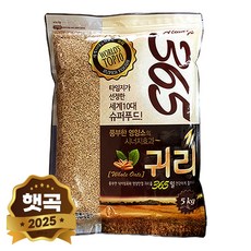 현대농산 2017년 귀리, 1개, 5kg