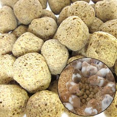 대주 익스 100g 햄스터 사료 피그미다람쥐 먹이 밥